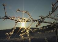 Суворовське з panoramio.com