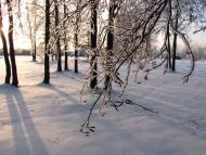 Кам'янка з panoramio.com