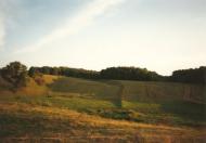 Цибулів з panoramio.com