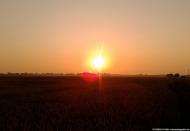 Прохори з panoramio.com