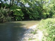 Вишенне з panoramio.com