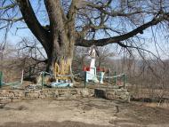 Петрів з panoramio.com