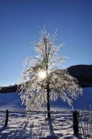 Крехів з panoramio.com