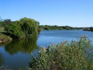 Недайвода з panoramio.com