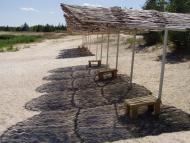 Діброва з panoramio.com