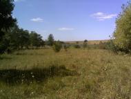 Глибоке з panoramio.com