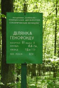 Яромель з panoramio.com