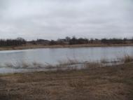 Очеретувате з panoramio.com