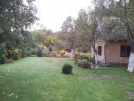 Гірник з panoramio.com