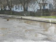 Іваничі з panoramio.com