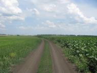 Аркушине з panoramio.com