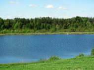 Замостя з panoramio.com