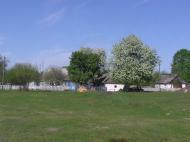 Березівка з panoramio.com