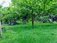 Свистунове з panoramio.com