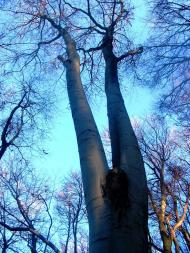 Демня з panoramio.com