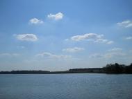 Кошляки з panoramio.com