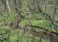 Русько-Орлівка з panoramio.com - Русско-Орловка