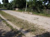 Угриничі з panoramio.com