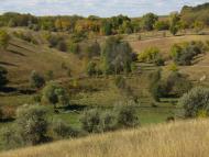 Велика Андрусівка з panoramio.com