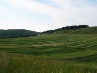 Погорільці з panoramio.com