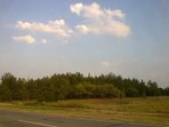 Підстепне з panoramio.com