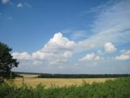 Пашенівка з panoramio.com