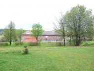 Чижки - Останні фото