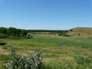 Грабове з panoramio.com