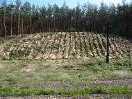 Мала Олександрівка з panoramio.com