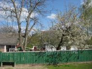 Карасиха з panoramio.com