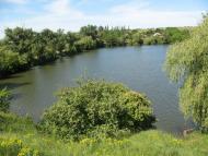 Созонівка з panoramio.com