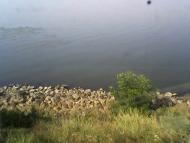 Малокатеринівка з panoramio.com