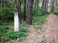 Скрипаї з panoramio.com