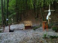 Савенки з panoramio.com