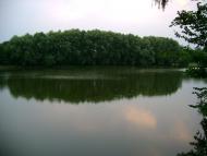 Кропивна з panoramio.com