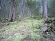 Кузьминець з panoramio.com - Кузьминець