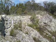 Поляна з panoramio.com