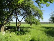 Бодячів з panoramio.com