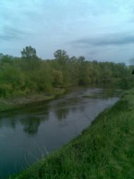 Білики з panoramio.com