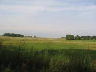 Петрушин з panoramio.com