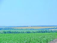 Оліївка з panoramio.com