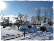 Межисить з panoramio.com