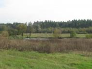 Дадакалівка з panoramio.com