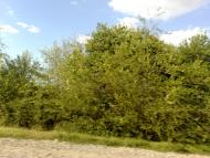 Підгірне з panoramio.com