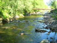 Лопушне з panoramio.com