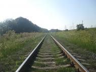 Цибулівка з panoramio.com