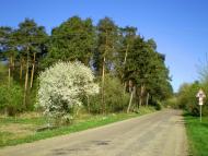 Рудки з panoramio.com