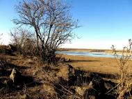 Степове з panoramio.com