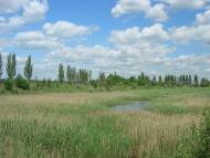 Свистунове з panoramio.com