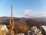 Поляна з panoramio.com